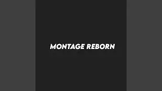 Montage Reborn