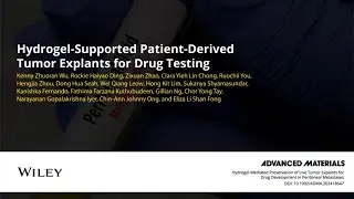Hydrogel-Supported Patient-Derived Tumor Explants for Drug Testing