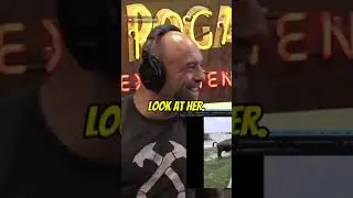Bison Try Taking A Selfie #theovon #joerogan #instagram #died #comedy