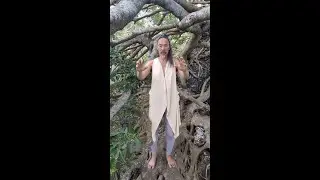 Somatic Vibrancy & Decolonized Qigong Practice with Mother Tree