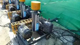 Aquaculture nursary blower for aeration