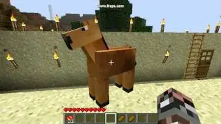 30 Second Minecraft: Taming Mo-Creatures Horse