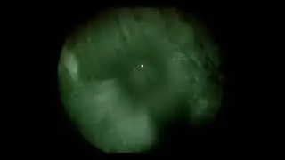 NVG PVS-14 Airsoft night shooting with trasers