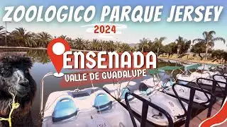 Zoológico Parque del Niño Jersey 2024 🐅🦢 | ¡Visítalo en Ensenada! 🚗