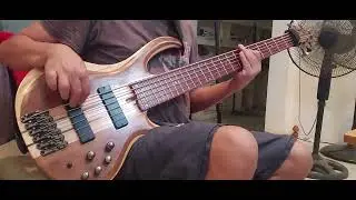 Butterflies and Hurricanes ( Muse bass cover)