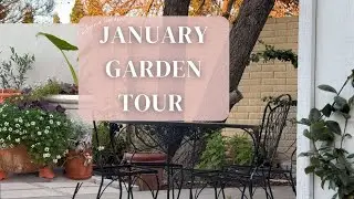 Tour my California Garden in January!