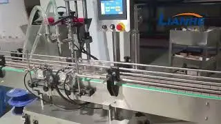 Automatic Rotor Pump Filling Line with 2 Heads#filler #fillingmachine