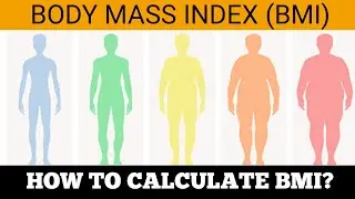BMI - How To Calculate Body Mass Index