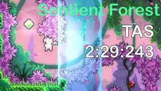 [TAS] Celeste Sentient Forest Superdash  Any% in 2:29:243