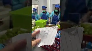ini yg rikwes menu MBG makan Bergizi Gratis