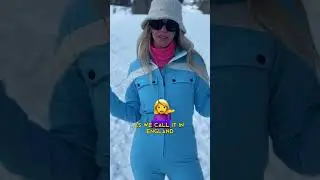 Кот в мешке &mdash; Знакомьтесь, Элиз