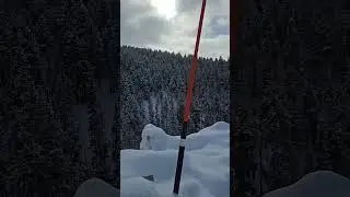 Dog stranded in #utah 