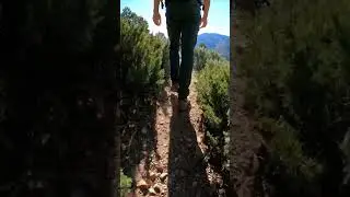 Hike with Creeping Juniper