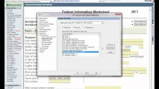 ProSeries Tax Software - Print Options, including Custom Watermarks