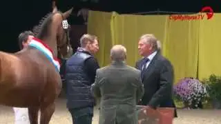 Springsiegerhengst | Quasimodo van de Molendreef x Cavalier | Mecklenburger Hengstkörung | 2015