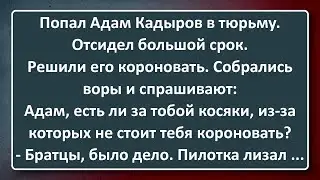 Попал Адам Кадыров в Тюрьму! Сборник Анекдотов Синего Предела №166