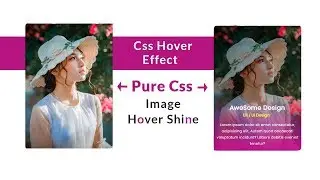 Web Designing full course Css Image Hover Effect UI Design🔥🔥 - Using Pure Html and Css Design
