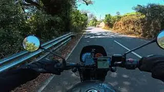 VID 20250215 110112 088
