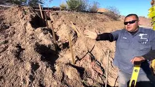 Designing a backyard food forest