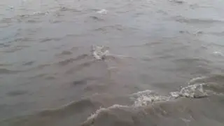 river padma, flowing in rainy season. bangladesh