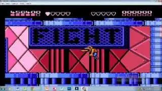Battletoads w/ Double Dragon LP!