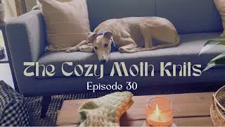 A Surprisingly Productive January?? - January Makes | The Cozy Moth Knits Podcast Episode 30