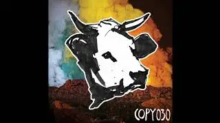 Foulteer - Photo (TiM TASTE Remix) [CopyCow]