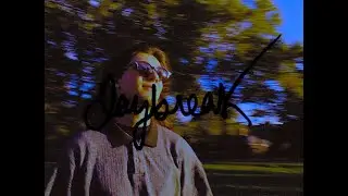 dashiel - daybreak (visualizer)