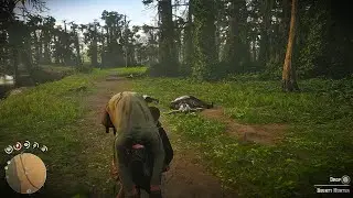 Back To Back Bounty hunters hunting Video#rdr2 #reddeadredemption #ps #reddead #online #rockstargame