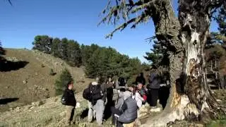 TÜRKUAZ AMANOS DAĞLARINDA SONBAHAR GEZİSİ  Amanos keşif  DÖRTYOL HATAY