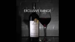 Experience The Excellence