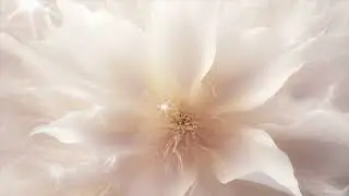 Mystic Lotus - Rising Up