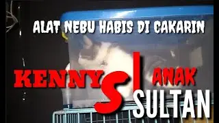 #RESCUE #CAT LOVER #CAT @STREAT FEEDENG.KENNY:KUCING BUTA DI NEBU ALAT NEBUNYA DI CAKARIN