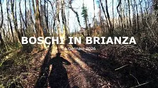 Boschi della Brianza