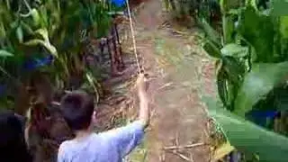 Arden Blade - Corn Maze