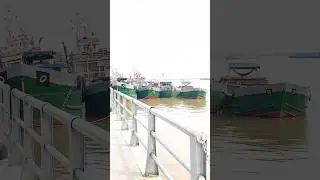 T&agrave;u Đang Neo Đậu #xuhuongyoutube #shortvideo #tauca #bien #ngườimiềnt&acirc;y
