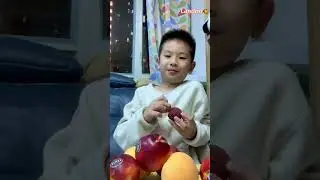 🦘Fresh fruit souvenirs air-freighted from Sydney, Australia🥭 #fruit #fruits 