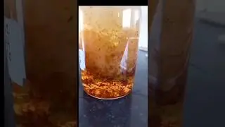 Estimation of Dissolved oxygen(DO)  from water sample