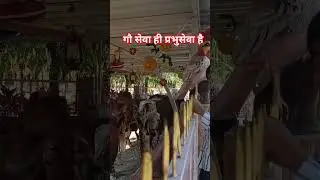 🐄❤️🙏👏go seva hi parbhu seva#🙏🐄❤️#love#gomata #gaymaa #music #love #मां