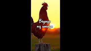Isang malinis na pahina para sa 'yong kwento... | Biyaya ng Umaga