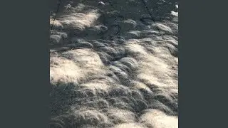 Bamboo Chutes (Demo)