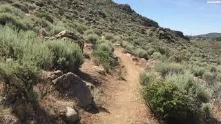 Hike to the Highpoint of the North Valleys Regional Park, June 17, 2019