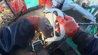2025 (Dungeness Crab Fishing) Body Cam Clip 2, Summer Crabbing!