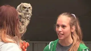 CAREERS Champion: Birds of Prey Sanctuary | Inspiring Youth Through Conservation