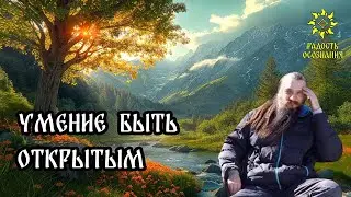 Умение быть открытым #психология #саморазвитие #