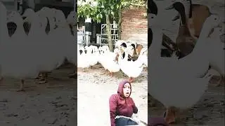 pembagian sembako#remix #funny #dubbing
