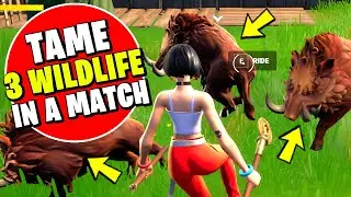 Tame Wildlife in a Single Match (3) - EASY GUIDE AND LOCATION (Fortnite)