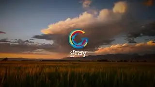 Inside Gray Media's Culture of Caring