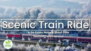 Relaxing Scenic Train Ride Jazz: Calm Relaxing Instrumental Piano Jazz Music Short Film