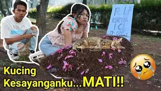 KUCING KESAYANGAN BIAN MATI!😭 SEDIH SAMPE NANGIS KEJER! | Mikael TubeHD